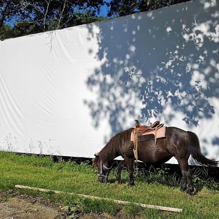 Vila Domaine De Cavailla Marmont-Pachas Exteriér fotografie